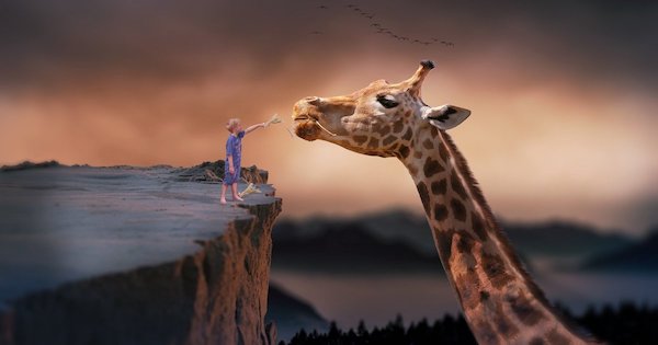 Kid feeding a giraffe in a dream